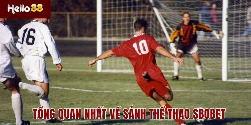 SBOBET 1 Tổng quan nhất về sảnh thể thao SBOBET